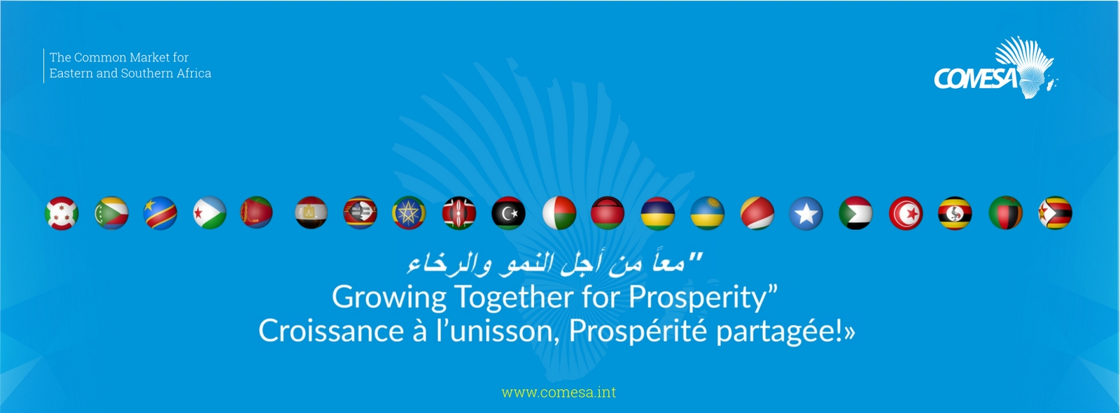 COMESA digital banner